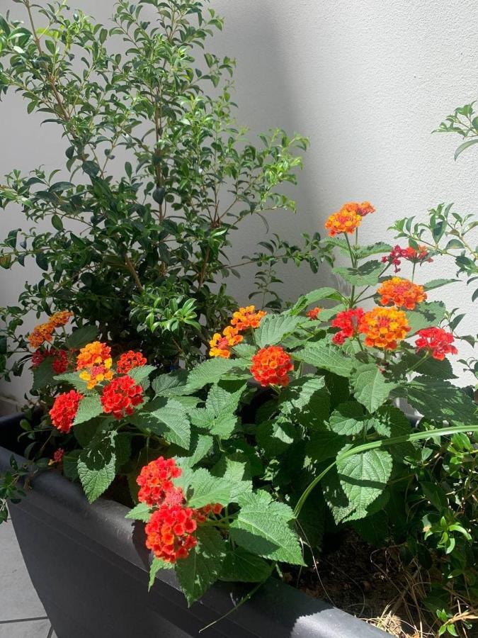 Salentop Appartement Lecce